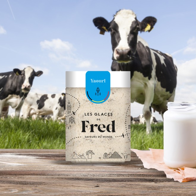 Glace yaourt de Belgique